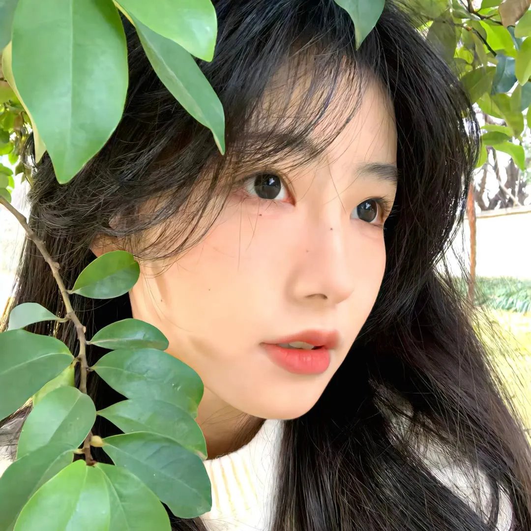 渡渡鸟